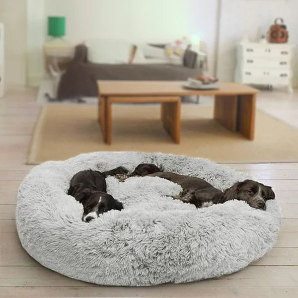 Bella&Toby - Hundsäng
