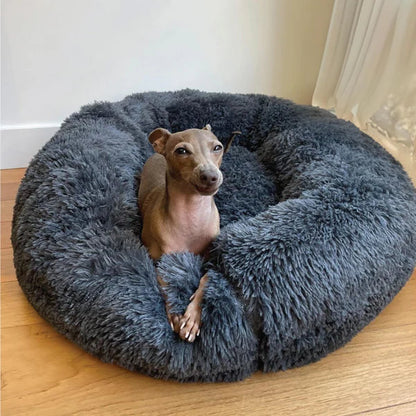 Bella&Toby - Hundsäng
